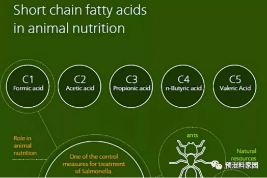 飼料酸化劑的相關知識
