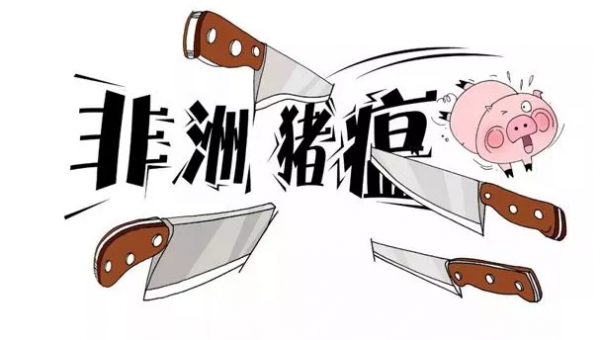 關于非洲豬瘟和經典豬瘟病毒污染飼料的10個常見問題