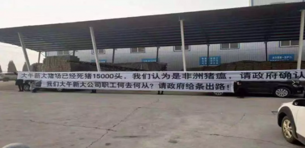 為中國養豬業，獻上十計