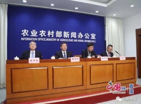 農(nóng)業(yè)農(nóng)村部：非洲豬瘟疫情累計(jì)捕殺生豬達(dá)到102萬(wàn)頭！已安排6.3億元補(bǔ)助經(jīng)費(fèi)