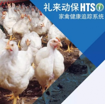 重磅|2019年家禽健康追蹤系統中國數據報告出爐（上）