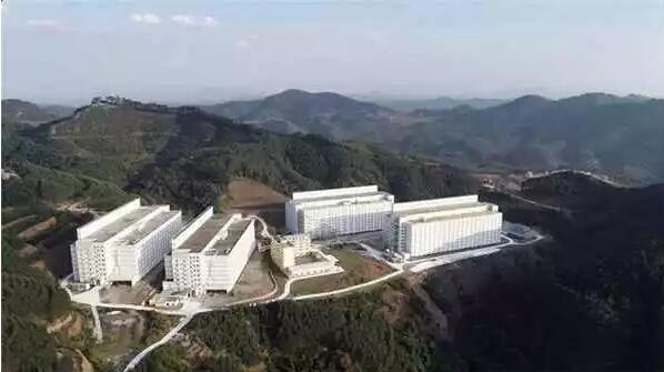 非洲豬瘟席卷全國，以后豬怎么養？未來豬場來了！