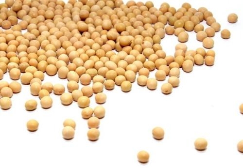 受非瘟影響，預(yù)計(jì)大豆進(jìn)口下降超600萬(wàn)噸