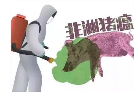 非瘟疫苗研發困難，防控疫情還需依靠生物安全管理