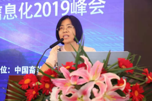 2019年上半年母豬料和仔豬料減少近25%，禽料增加超10%