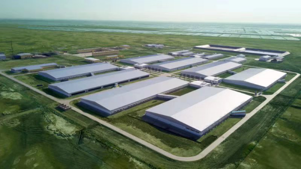 “非瘟”可防可控：大北農(nóng)打贏全面復養(yǎng)第一戰(zhàn)