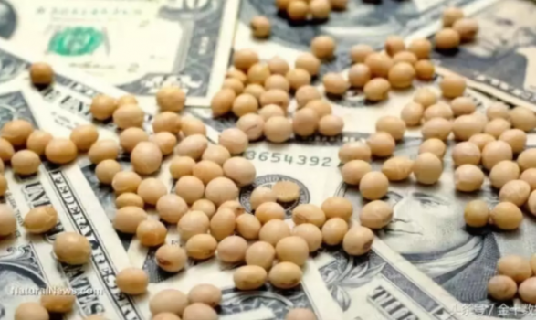 中國戰(zhàn)略將改變國際大豆貿易格局？！