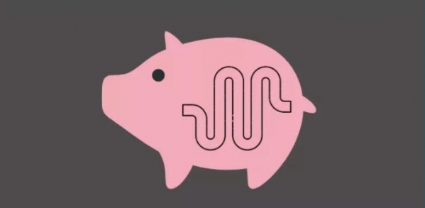 斷奶應激對豬的「腸道屏障」發育有何長期影響？