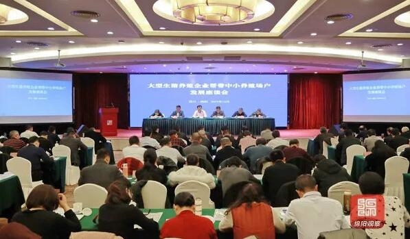 農業(yè)農村部：提倡養(yǎng)豬發(fā)展“大幫小”！