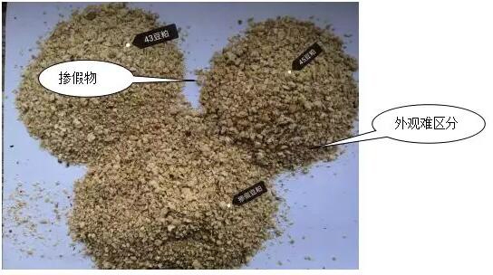 假豆粕的實戰(zhàn)鑒別精品分享（附：摻假豆粕識別對照圖)
