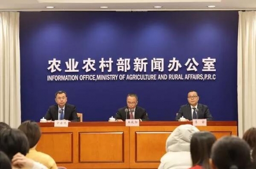 農業(yè)農村部：11月份生豬存欄環(huán)比增長2%