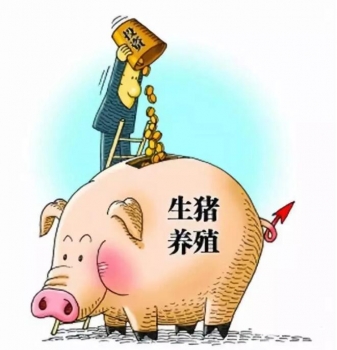 財政部：支持豬業(yè)發(fā)展，中央資金已下達完畢！