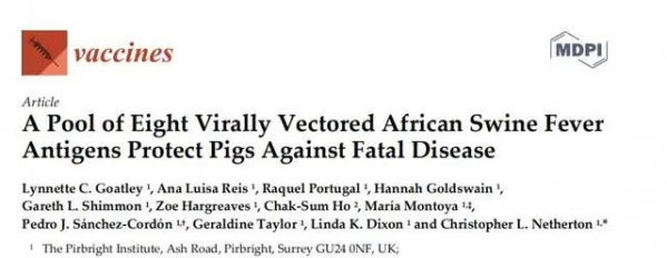 英國(guó)搞出非瘟疫苗！號(hào)稱100%有效？！