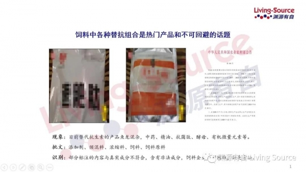 巧用鏡檢技術篩查偽劣抗生素替代品