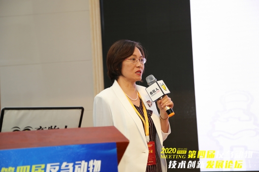 羅海玲教授：基于羊肉品質(zhì)與風味特點的肉羊發(fā)展戰(zhàn)略思考