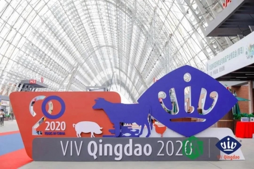VIV進入中國20年，VIV Qingdao 2020亞洲國際集約化畜牧展昨日青島開幕：承載新的希...
