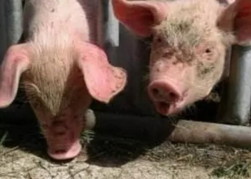 控制疾病風險，AI讓疾病診斷擁有更好的判斷力！