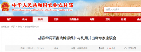 農(nóng)業(yè)農(nóng)村部：種豬和仔豬調(diào)運(yùn)，符合條件，不得層層加碼禁運(yùn)限運(yùn)！打好種業(yè)翻身仗！