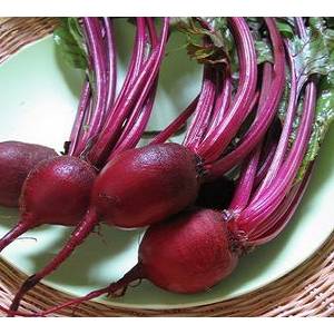 美農業(yè)部澄清法院判決銷毀轉基因抗草甘磷甜菜