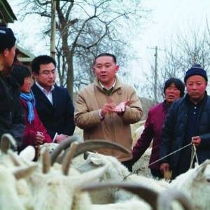 陽春乳業與“羊社員”成就雙贏