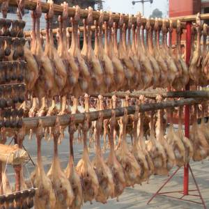 彭州美食節：吃地道板鴨品極鮮鵝腸