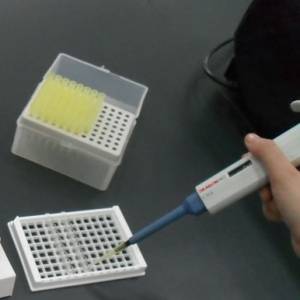 飼料防霉和脫霉的實(shí)用方法