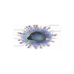 抗菌肽在畜牧業的應用前景