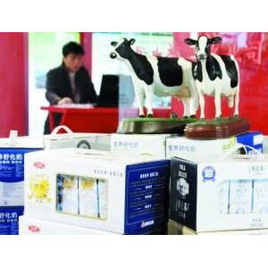 專家稱我國兩年后有望生產接近人乳牛奶