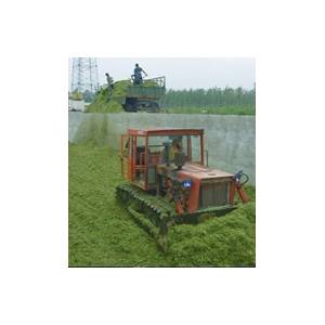 青貯飼料質量評定的標準