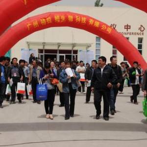 河北省第四批種豬生產(chǎn)性能測定及第四屆種豬拍賣會圓滿結(jié)束