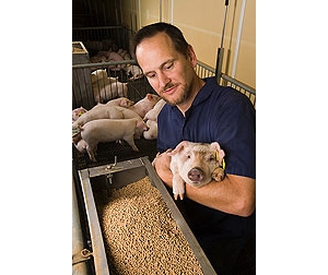 乳豬料原料的選擇及品控技術要點(2)