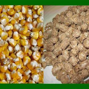 商業配方師的目標-利潤