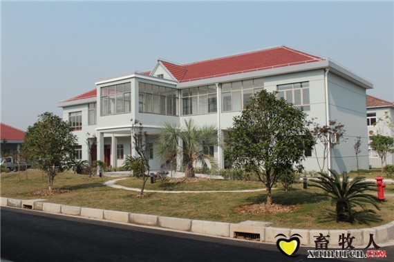 中國養豬界的“黃埔軍?！?--上海新農學院