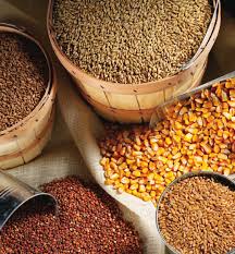 乳豬飼料的品質控制