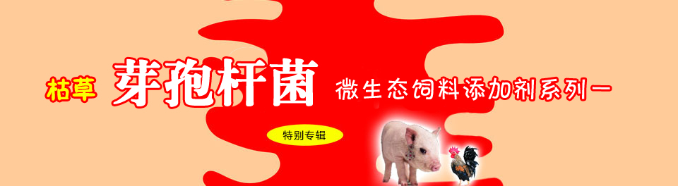 枯草芽孢桿菌微生態飼料添加劑系列一
