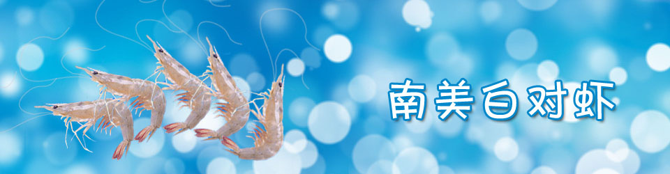 南美白對蝦