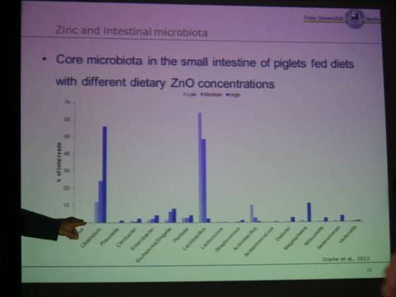 過量使用鋅可能會導致抗生素的耐藥性
