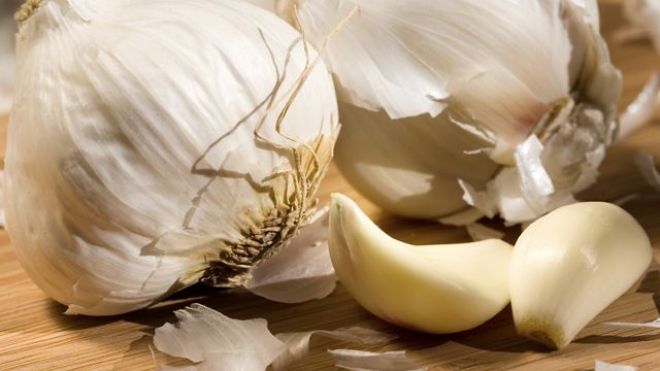 發酵大蒜粉在斷奶仔豬中的應用