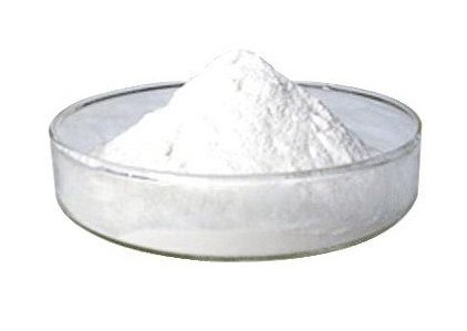 亮氨酸的代謝及營養(yǎng)生理作用研究進展