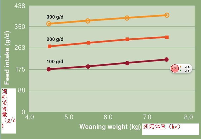 定位仔豬的飼料采食量