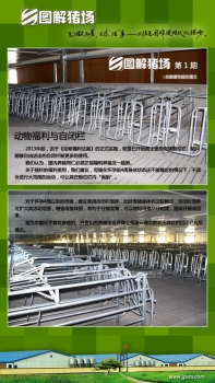 【京鵬環(huán)宇畜牧】圖解豬場(chǎng)第1期：動(dòng)物福利與自閉欄