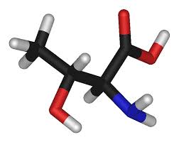 蘇氨酸在飼料添加及營養上的用途