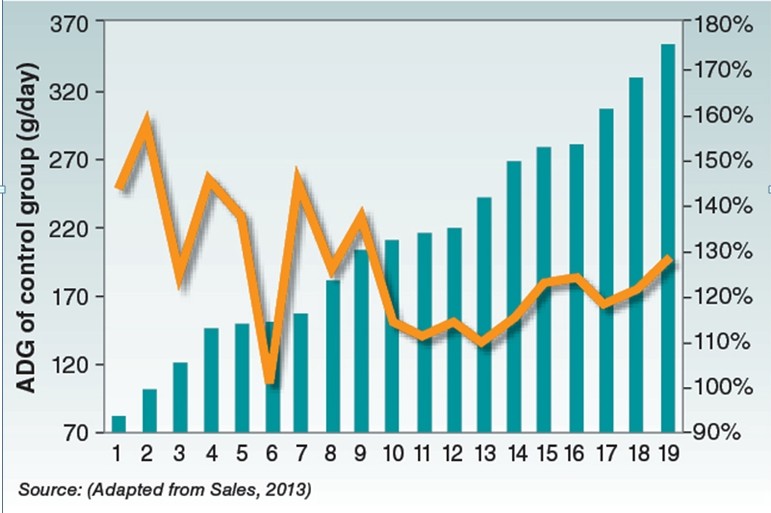 氧化鋅對仔豬產生的五種可能性負面影響