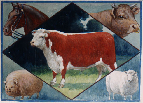 影響畜產品質量的因素與對策