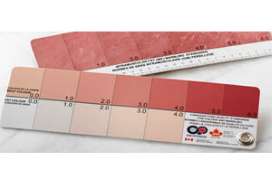 加拿大發布肉質標準