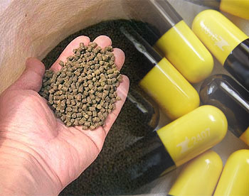 CAP呼吁動(dòng)物飼料中禁止使用抗生素