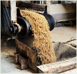 飼料配方中的一些經驗