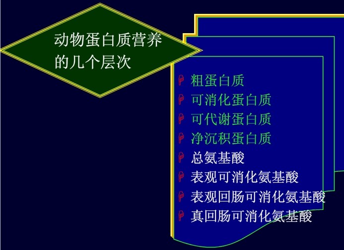 動物蛋白質營養的幾個層次