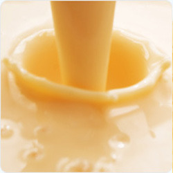 提高教槽料采食量？試試奶油味吧