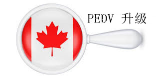 畜牧人：無確切證據證明PEDV來源于血漿蛋白粉